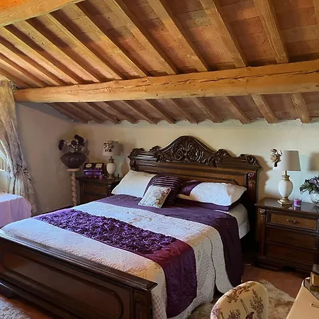Emilia Villa *